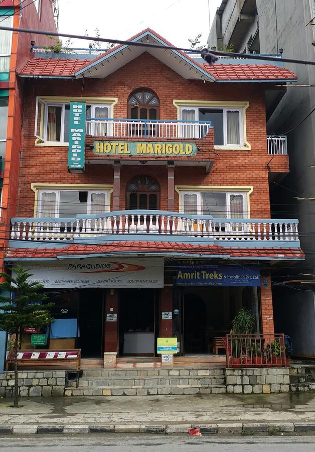 Hotel Marigold Покхара Экстерьер фото