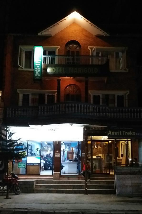 Hotel Marigold Покхара Экстерьер фото